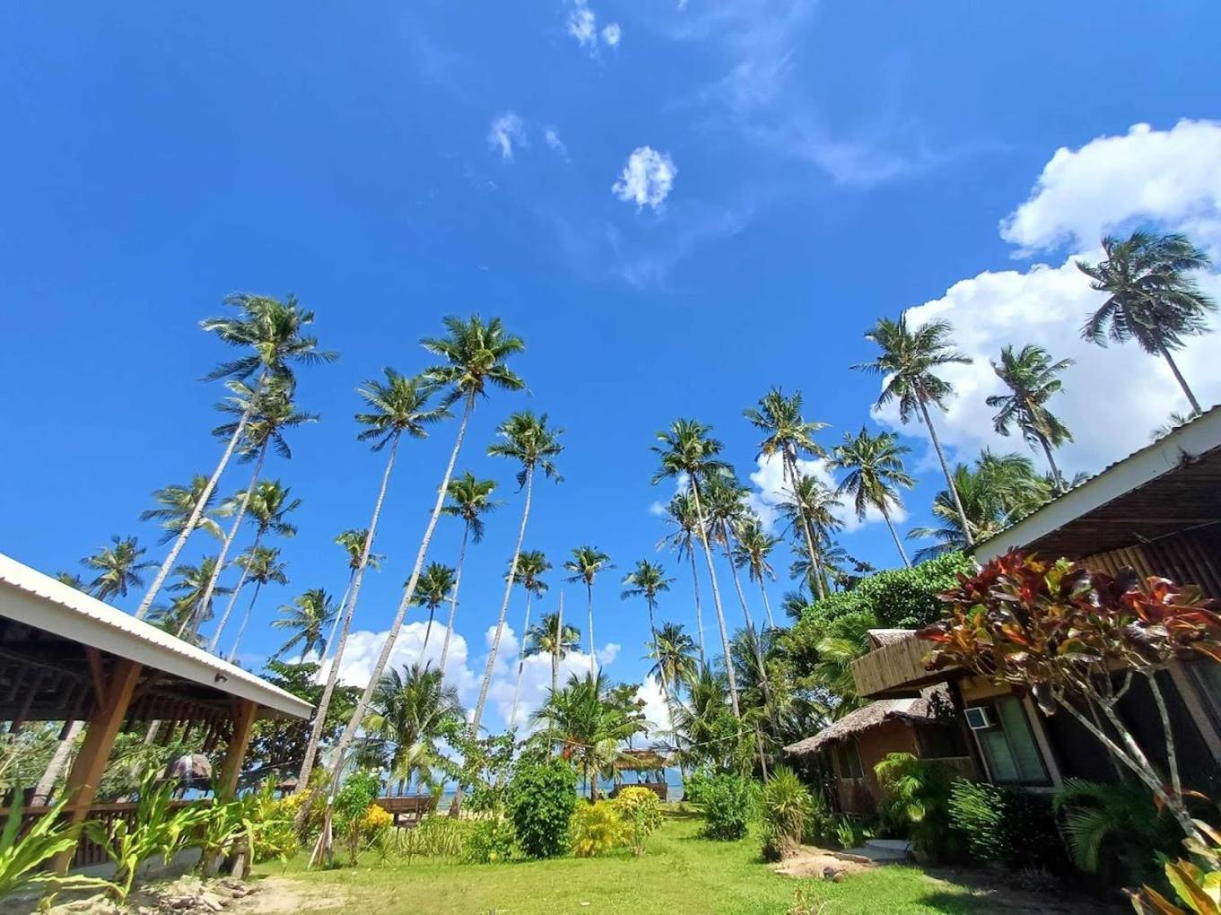 Amihan Beach Hostel サン・ヴィチェンテ エクステリア 写真