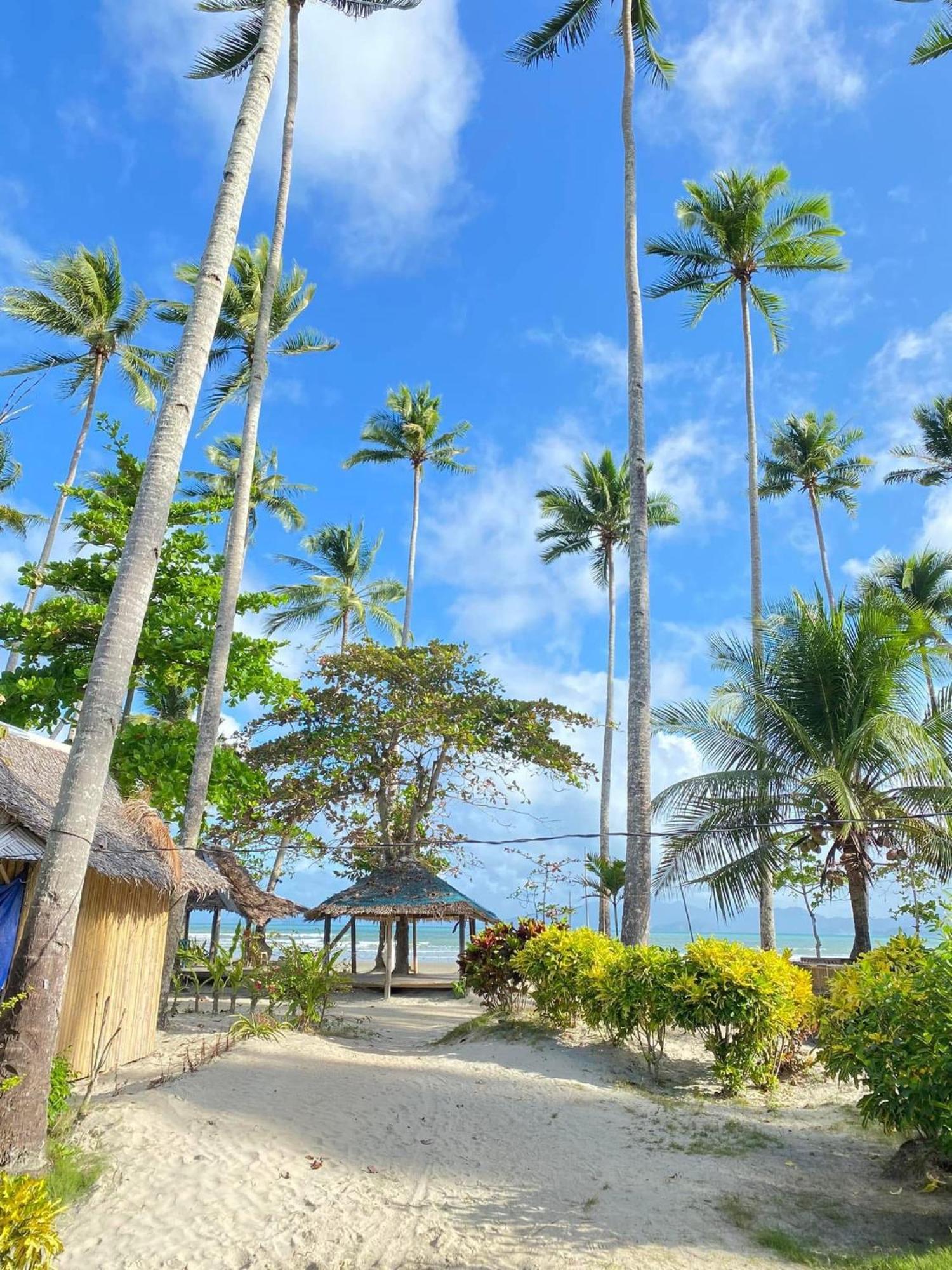 Amihan Beach Hostel サン・ヴィチェンテ エクステリア 写真