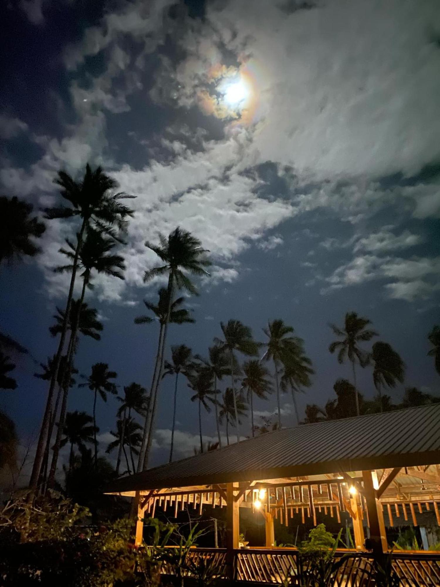 Amihan Beach Hostel サン・ヴィチェンテ エクステリア 写真