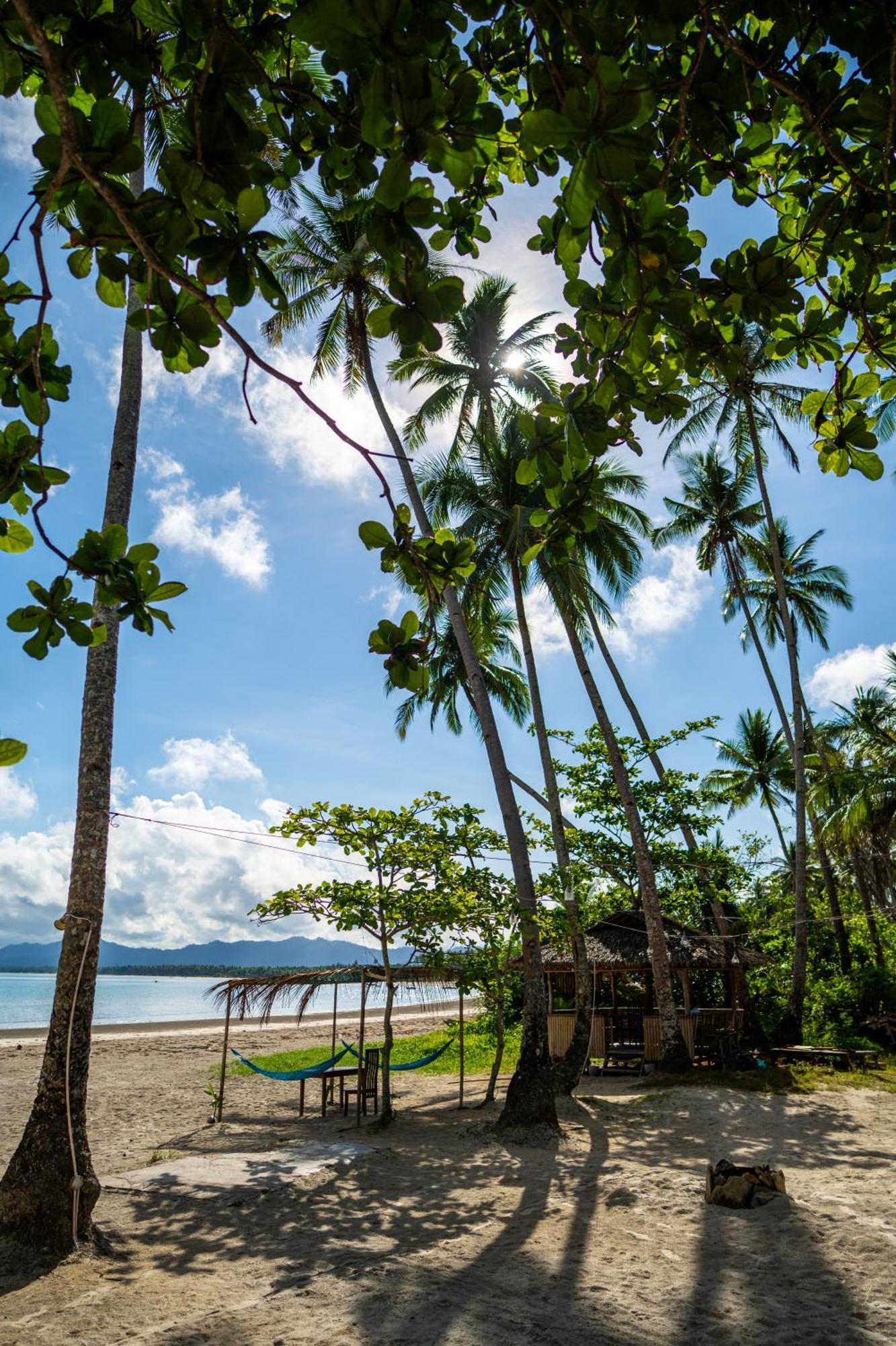 Amihan Beach Hostel サン・ヴィチェンテ エクステリア 写真