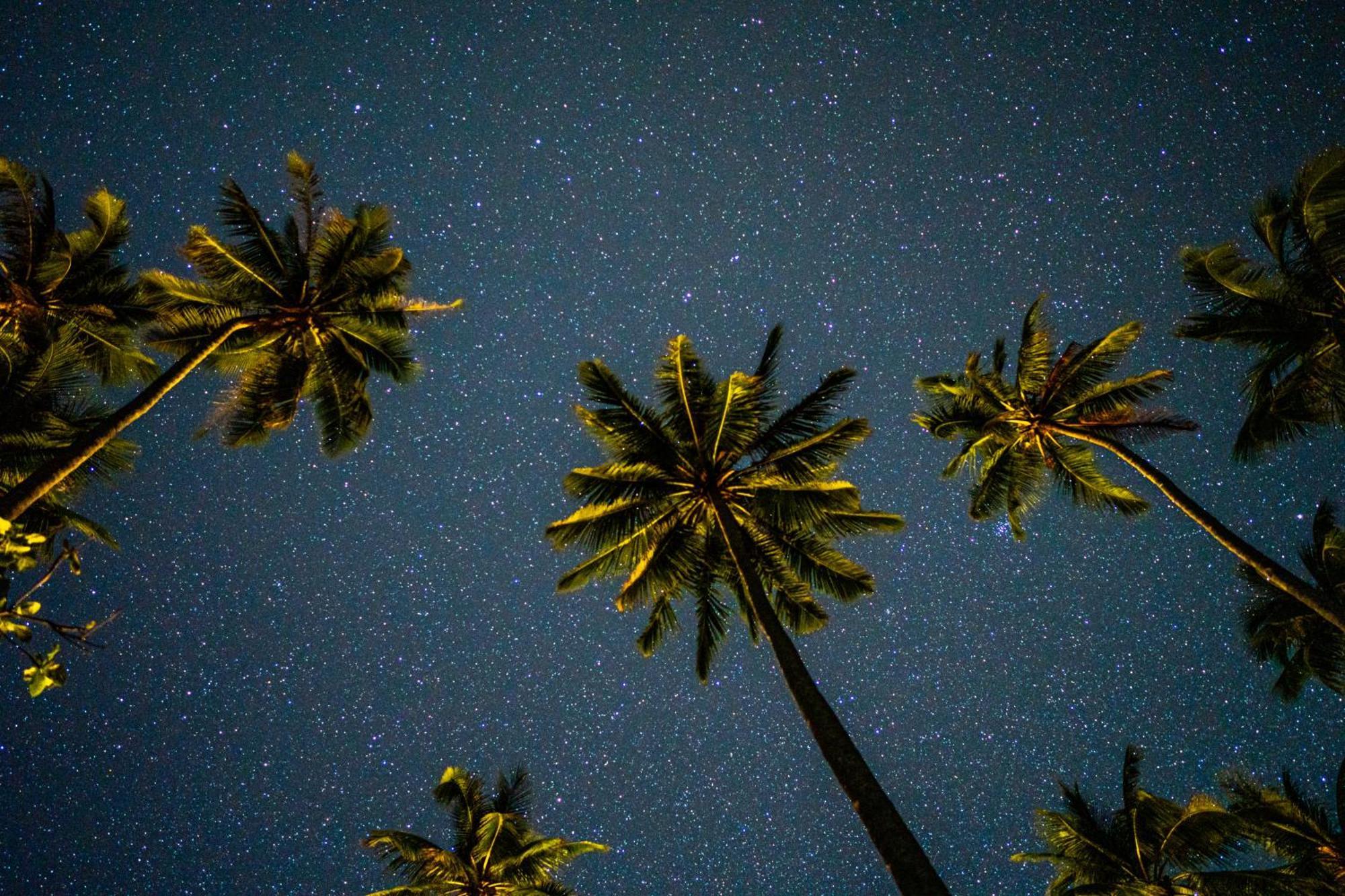 Amihan Beach Hostel サン・ヴィチェンテ エクステリア 写真